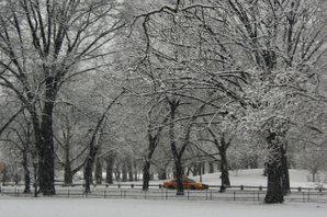 Winter im Central Park