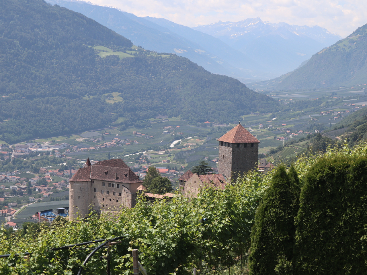 Blick auf Schloss Tirol