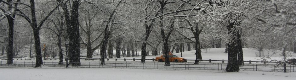 Winter im Central Park