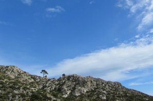 Blauer Himmel über Mallorca