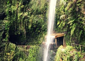 Wasserfall auf Madeira